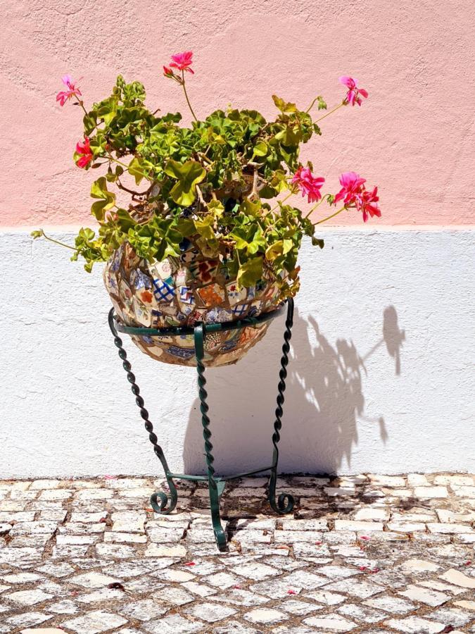 Casa Da Avo Genoveva Guest House Томар Екстериор снимка