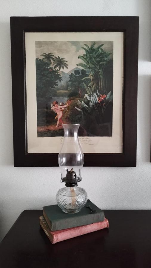 Casa Da Avo Genoveva Guest House Томар Екстериор снимка