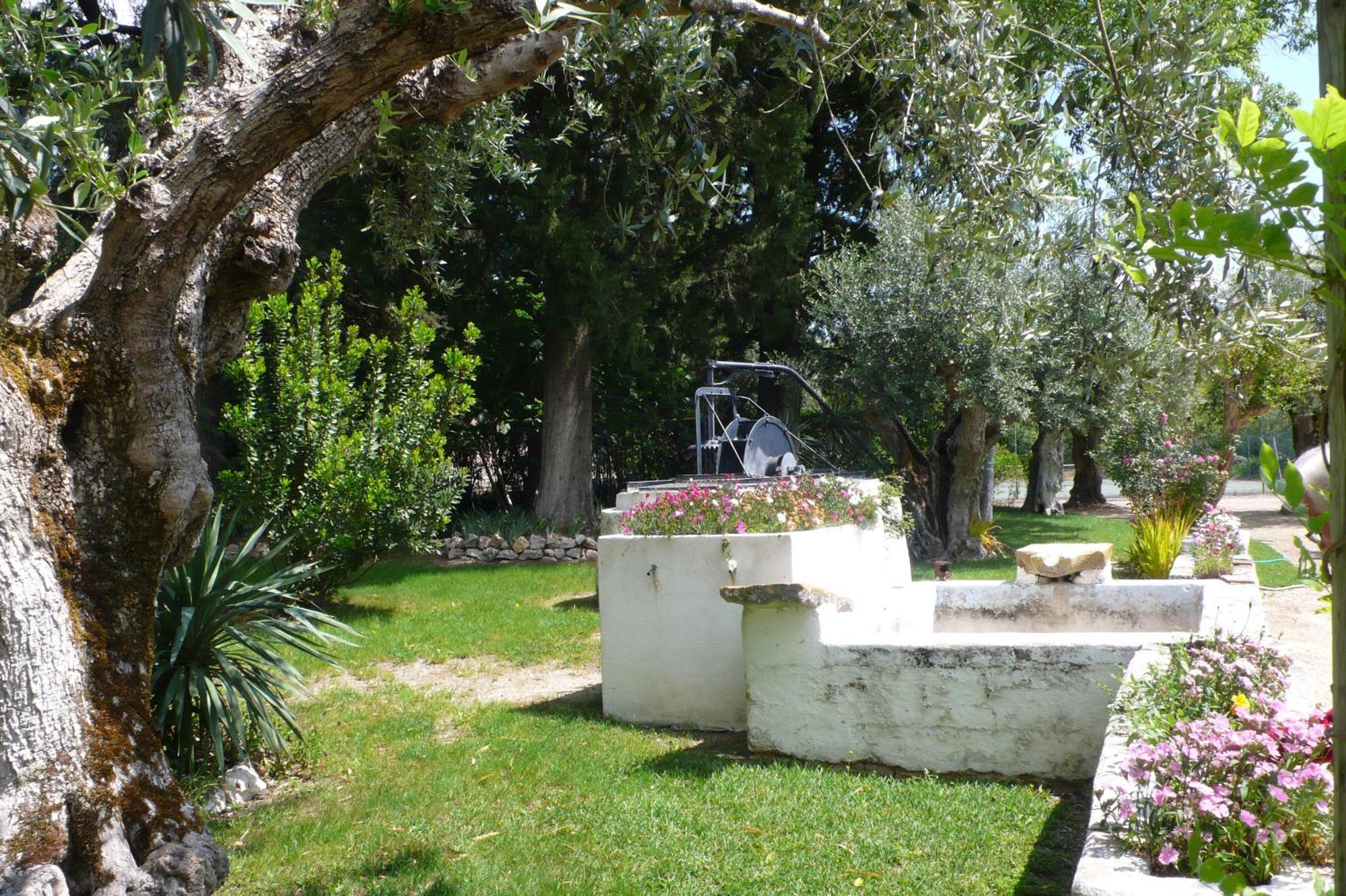 Casa Da Avo Genoveva Guest House Томар Екстериор снимка
