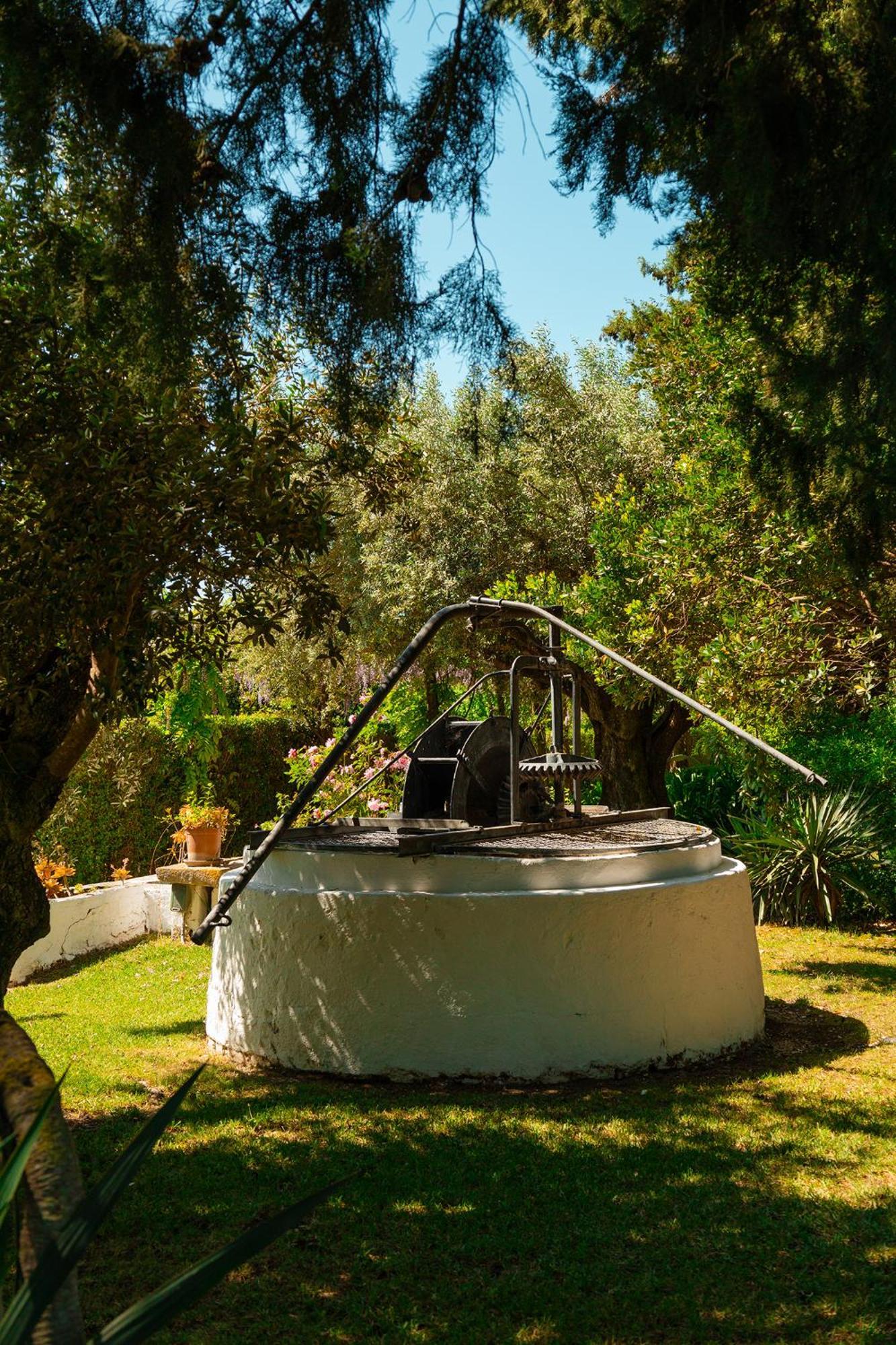 Casa Da Avo Genoveva Guest House Томар Екстериор снимка
