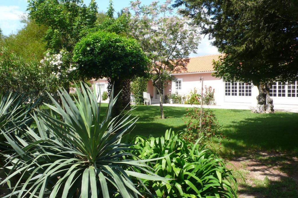 Casa Da Avo Genoveva Guest House Томар Екстериор снимка